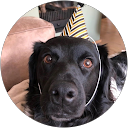 Femke Lagraauw profielfoto